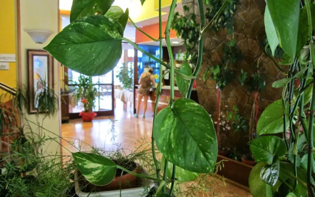Hotel Capo Noli