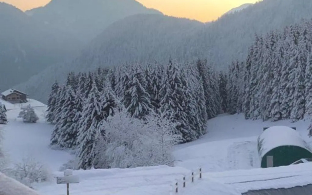Chalet Le Biot, 4 pièces, 6 personnes - FR-1-573-65