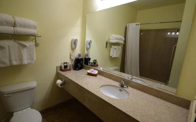 Mountain Inn & Suites Airport - Hendersonville