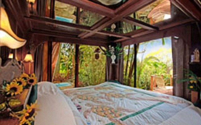 Dragonfly Ranch