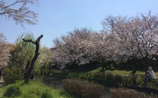 Suzume-An