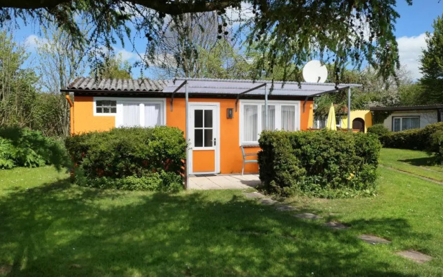 Bärenklau
