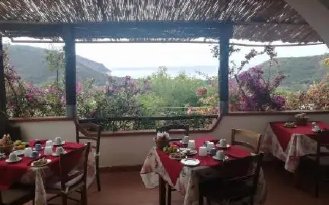 Casa de rosa