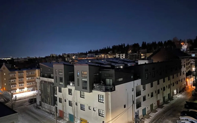 Downtown 1 Bedroom Apartment on 17 ave sw