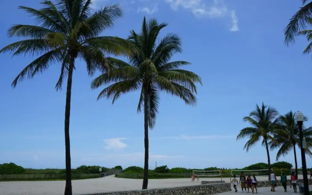 Villas & Oceanfront Townhouses by South Beach Vacations