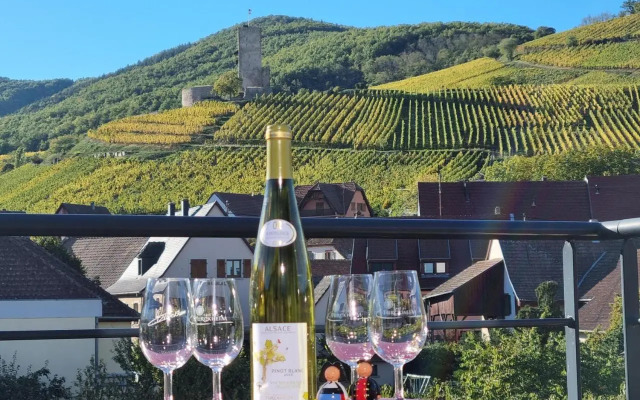 Gite Les Terrasses du Wineck