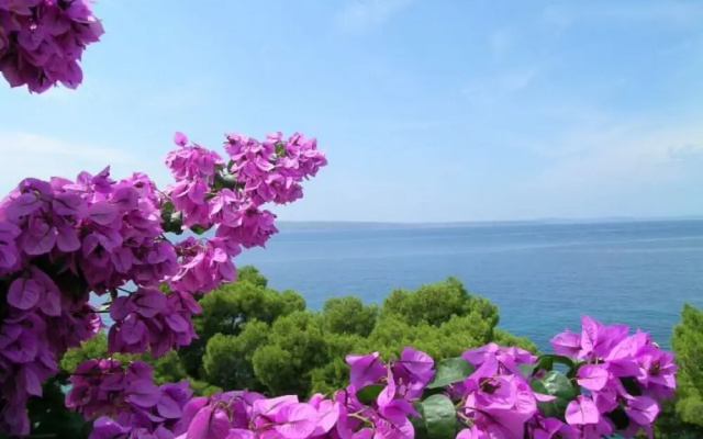 Milica - sea View - A1