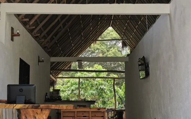 Hostal Dream House