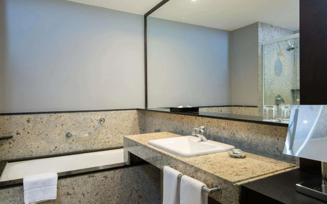 Pullman Sao Paulo Vila Olimpia