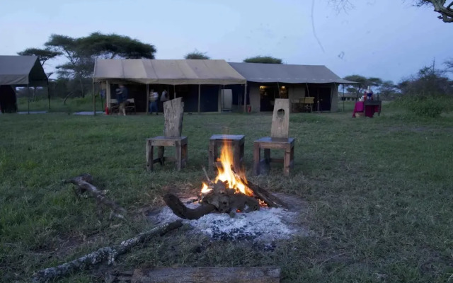 The Royal Migration Camp - All Inclusive