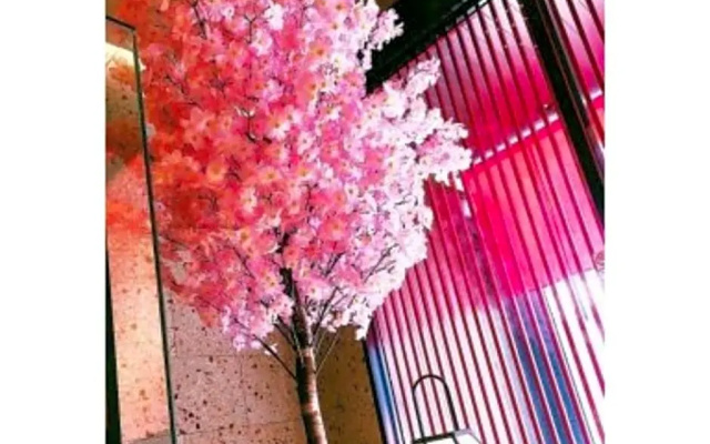 Sakura Sky Hotel - Vacation STAY 18445v