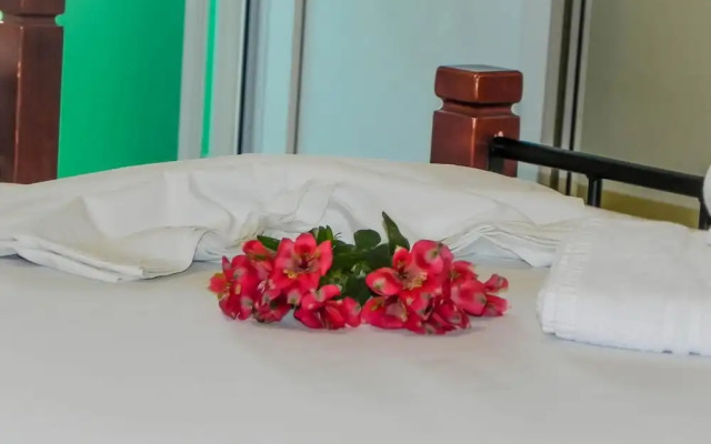 Ilias Studios