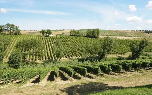 Terre di Varano