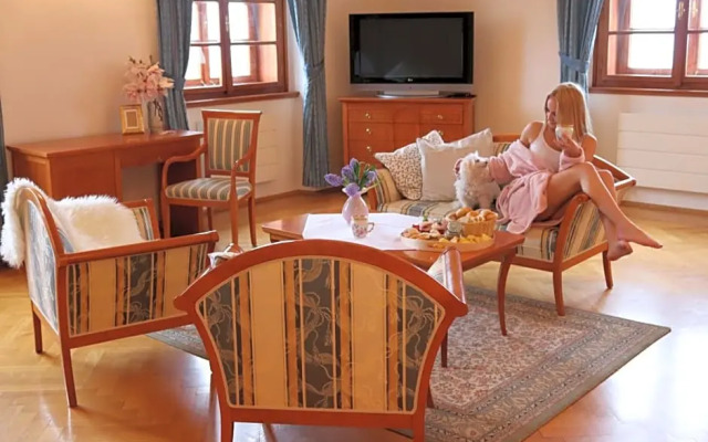 Wellness Hotel Zamecek