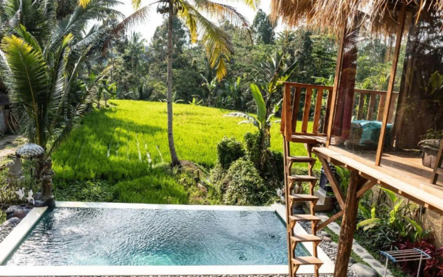 Bali Bamboo Jungle Huts And Hostel.