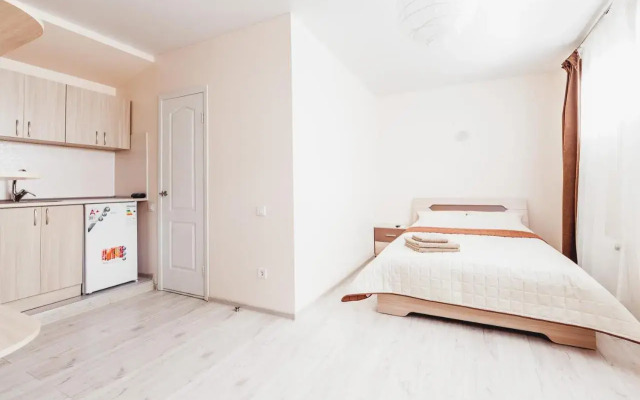 Deribasovskaya apartment