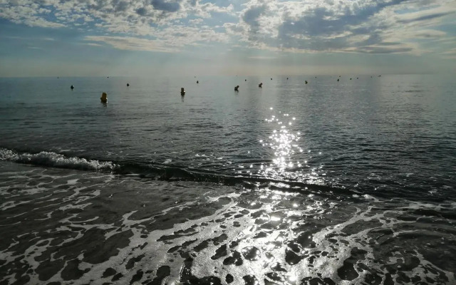 Palm Beach - INH 31528