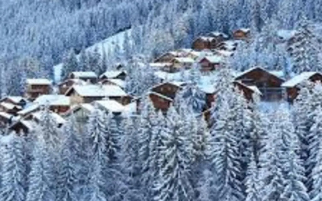 Chalet La Tania, 7 pièces, 14 personnes - FR-1-513-72