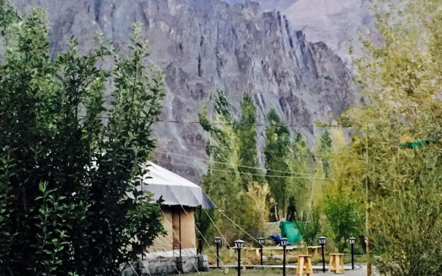 D Camp