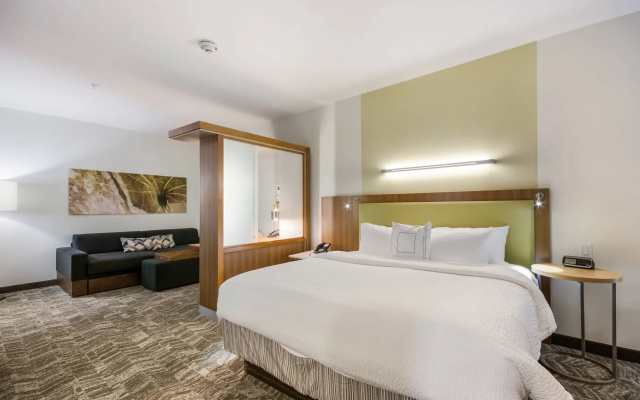 SpringHill Suites by Marriott Enid