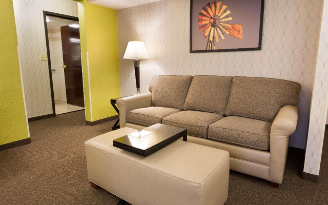 Drury Inn & Suites Near The Galleria Houston