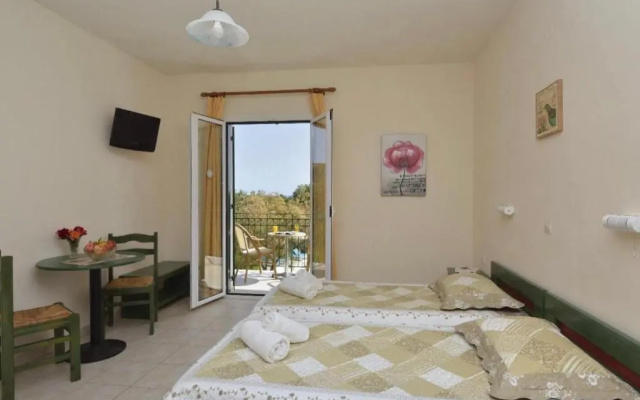 Anemona studio 1