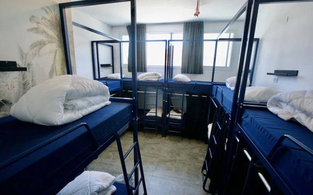 Jungle Jaffa Hostel Age 18 to 45