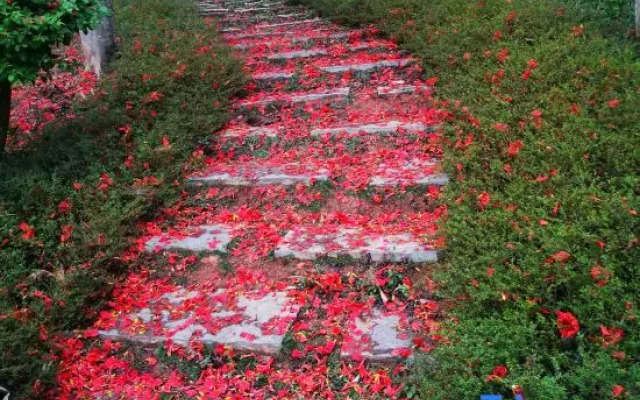 Xishuangbanna Rainforest Flower Valley Hotel (Gasa International Airport)
