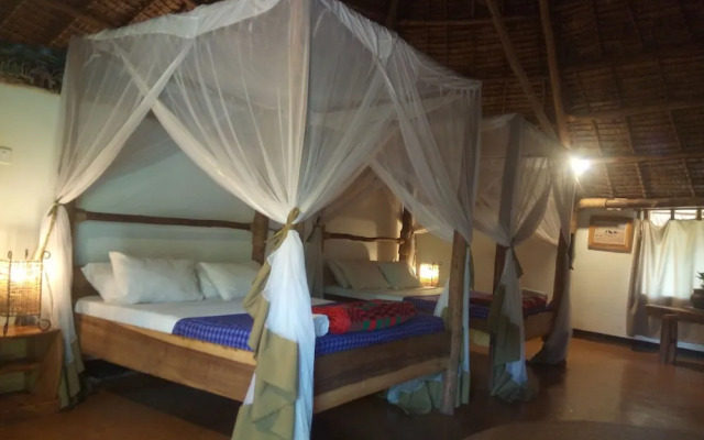 Honey Badger Lodge