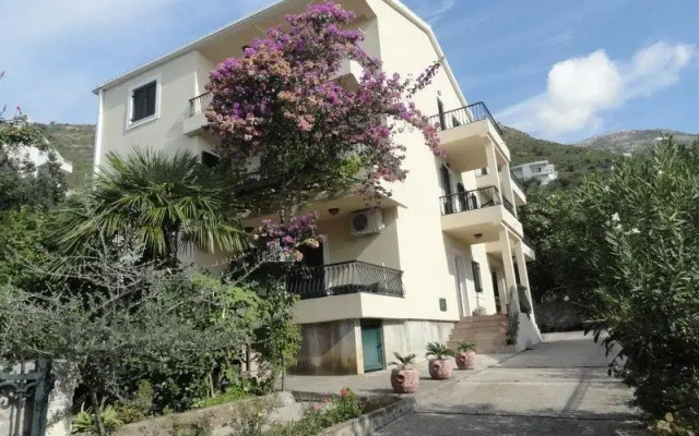 Apartments & Rooms M