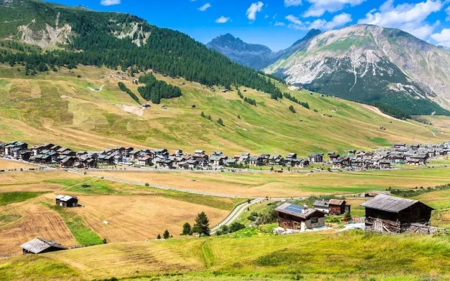 Paradiso Ski in - Ski out Mt 50