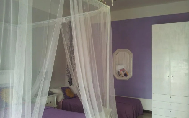 B&B Palese