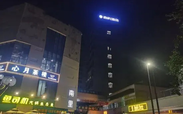 Senyu Hotel (Dazhulin River and City)