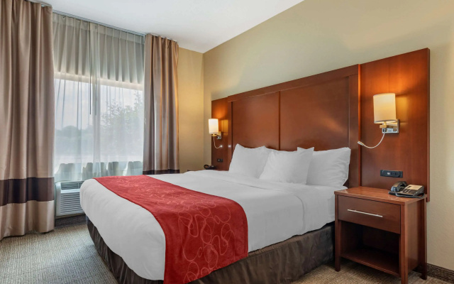 Comfort Suites Mason near Kings Island
