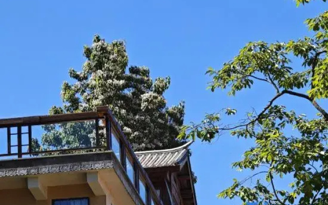 Shaxi Weiran Mountain Villa