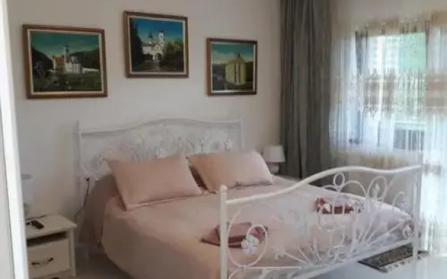 Apartments Sunčani Breg Vrdnik