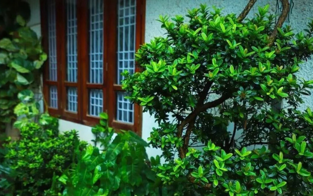 Nutshell Airport Retreat by the Sea