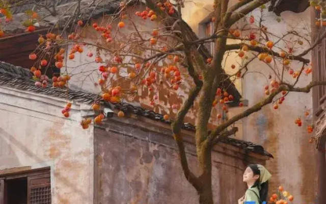 Lanqi · Xiaoshe
