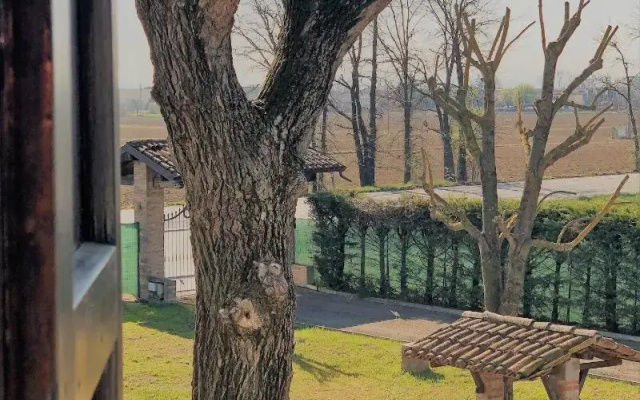 Il Contado - Room and Breakfast-