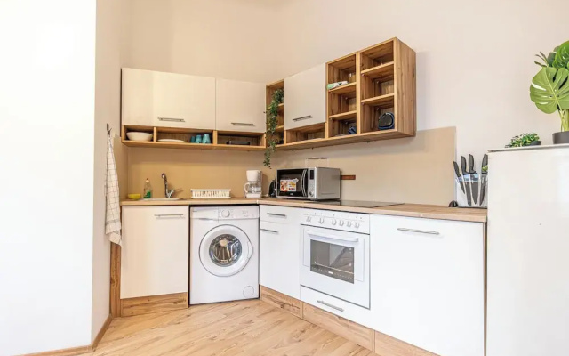 Luxury Flat with Access to Danube