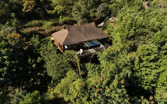 The Tamara Coorg