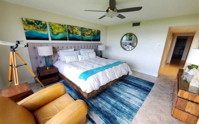 Sand Dollar 101
