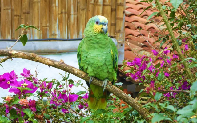Finca El Cielo