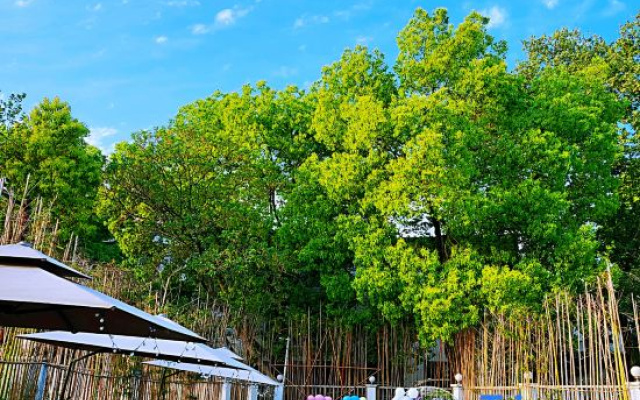 Donghu Xiangju Guest House