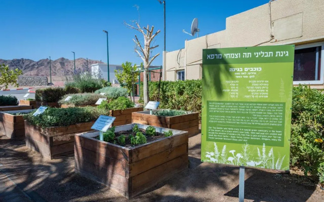Eilot Kibbutz Country Lodging
