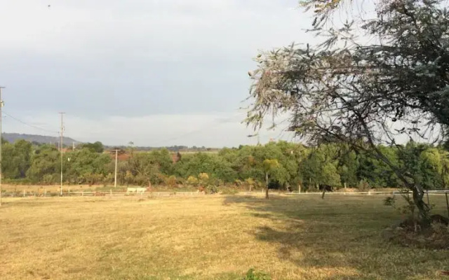 Rancho El Nacimiento