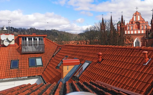 Šv. Mykolo Rooftop Apartment & Sauna