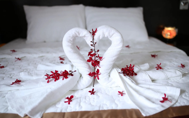 Thanh Vy Hotel