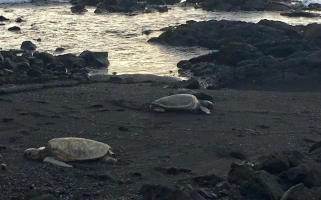 Mauna Kai'iki