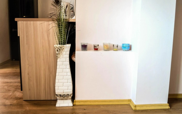Central Apartment